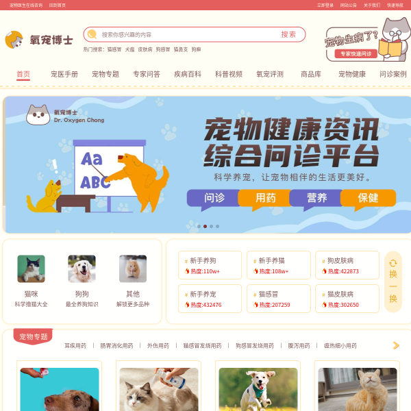 isdpp.com