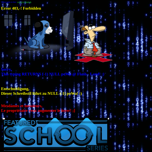 it-flash.de