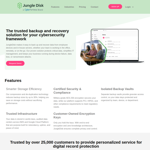 jungledisk.com
