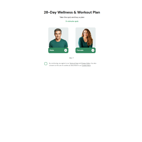 lasta-fit.com