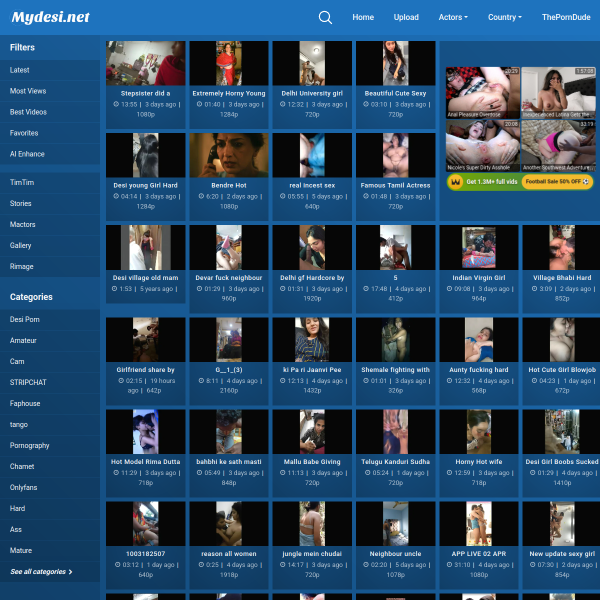 mydesi2.net
