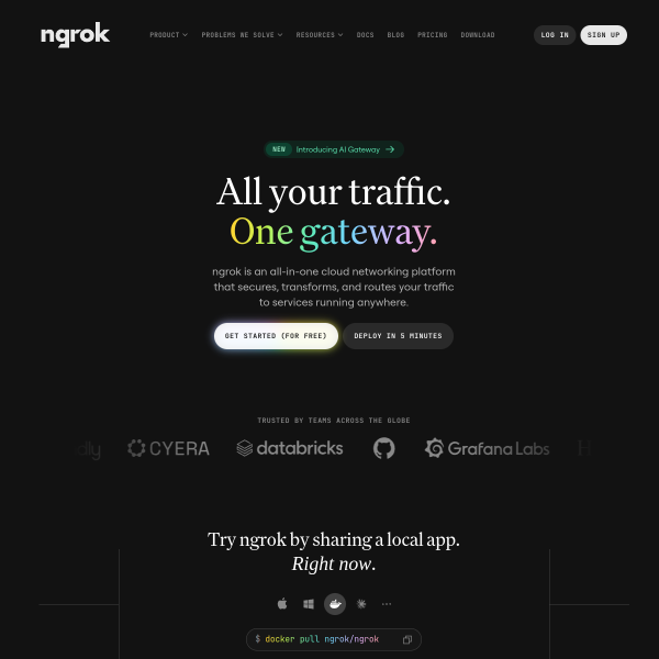 ngrok.com