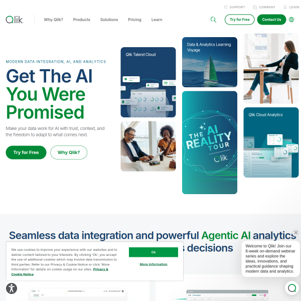 qlik.com