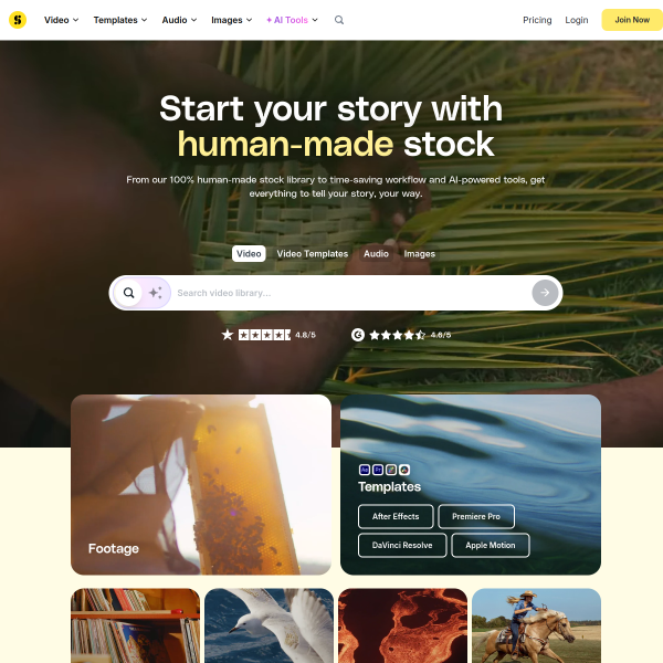 storyblocks.com