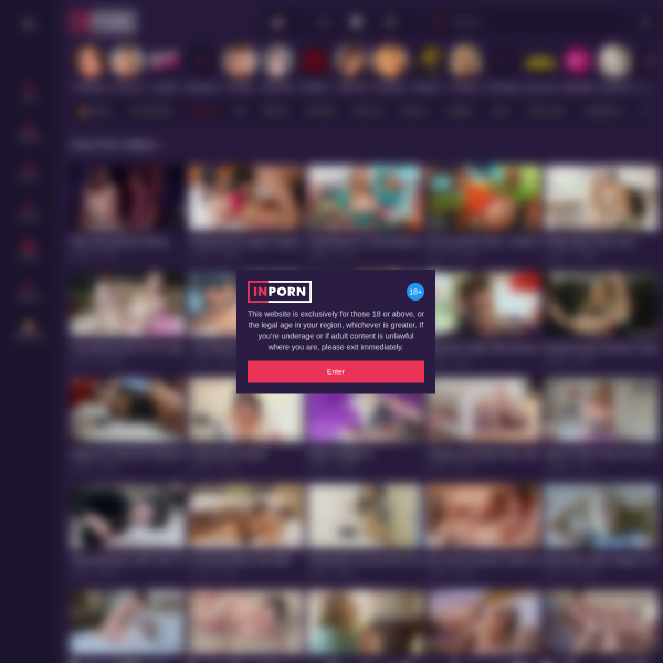 vid-ip.com