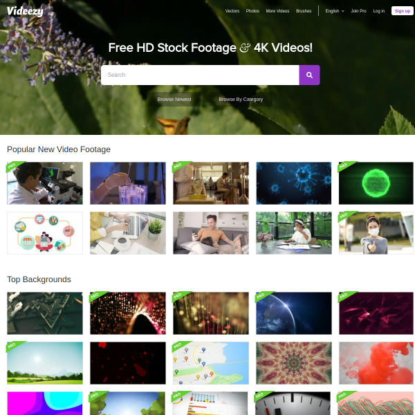 videezy.com