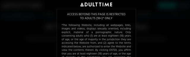 لقطة شاشة لصفحة Adult Time