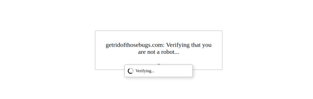 Pest Control Chicago website preview