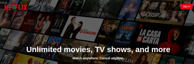 Netflix Angular Clone preview