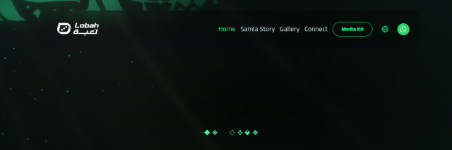 Samla website preview