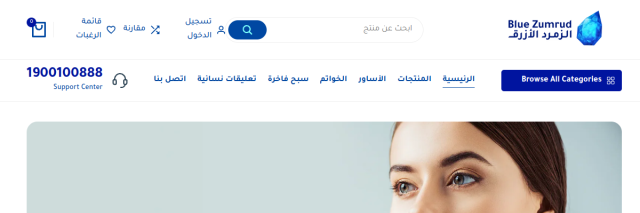 The Blue Zumrud website preview
