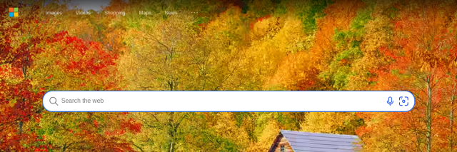 Podgląd bing.com