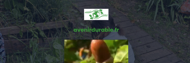 Aperçu de Avenir Durable