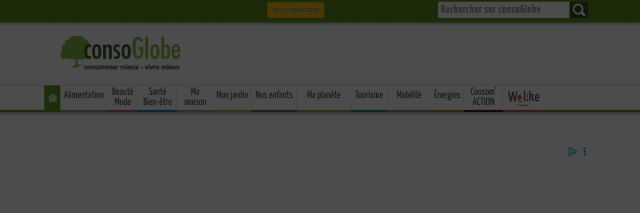 Aperçu de ConsoGlobe