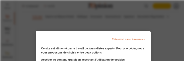 Aperçu de L'Opinion