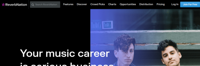 Aperçu de ReverbNation