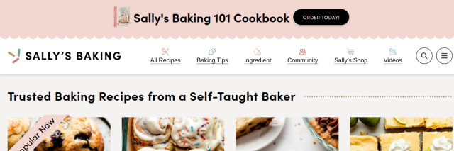 Aperçu de Sally's Baking Addiction