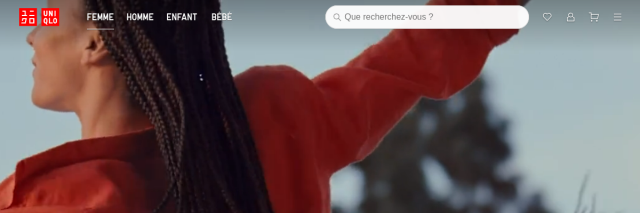 Aperçu de Uniqlo France