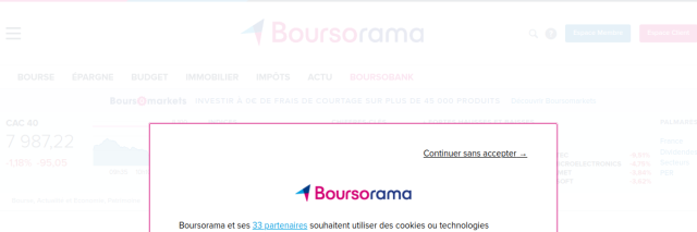 Aperçu de Boursorama