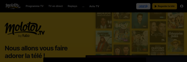 Aperçu de Molotov