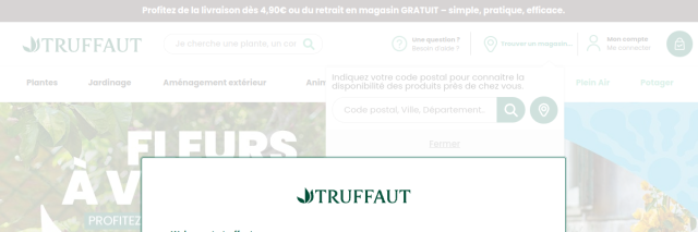 Aperçu de Truffaut