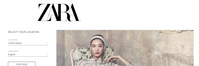 Aperçu de Zara