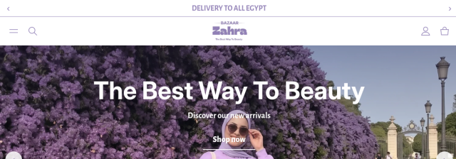 Bazar Zahraa Shopify store preview