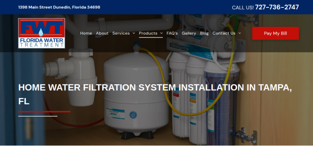 Home Water Filtration System Installation Tampa Fl website screenshot