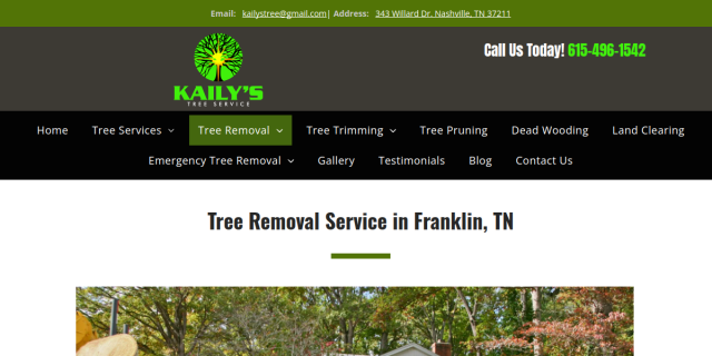 Tree Removal Franklin TN website screenshot