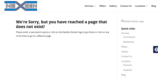 Nexgen Rooter website screenshot