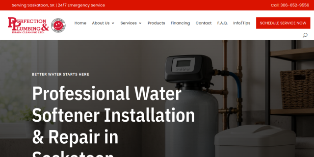 Perfection Plumbing & Drain Cleaning Ltd. website screenshot