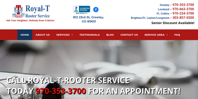 Royal T Rooter Service website screenshot