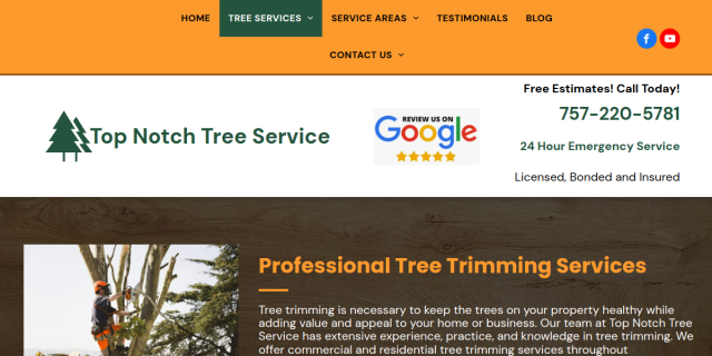 Tree Trimming Service Newport News VA website screenshot