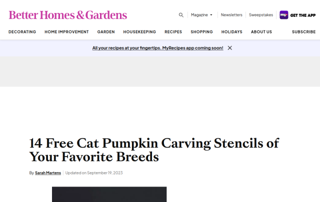 Preview card for 14 Cat Pumpkin Stencils