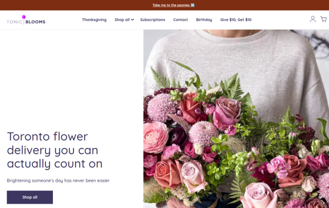Tonic Blooms website preview