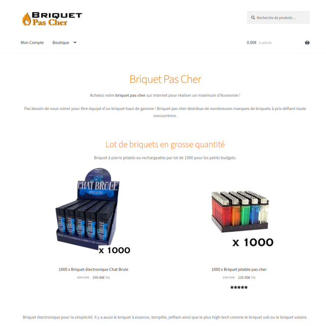 Aperçu Briquet Pas Cher