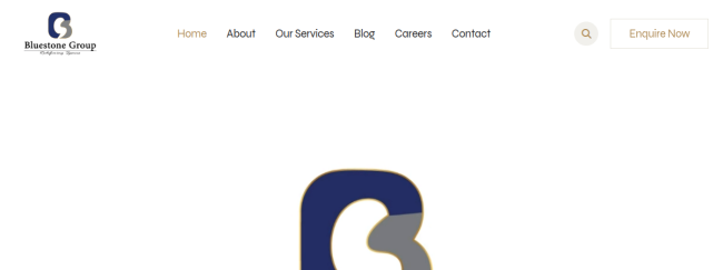Bluestone Group website overview