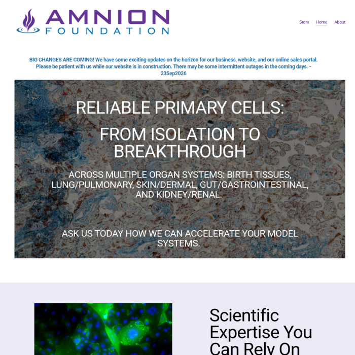 Amnion Foundation