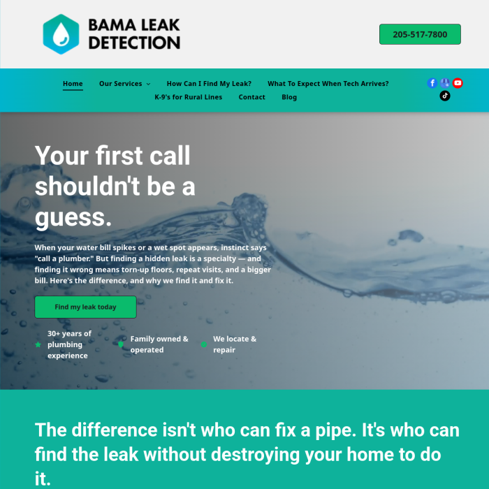 Bama Leak Detection LLC