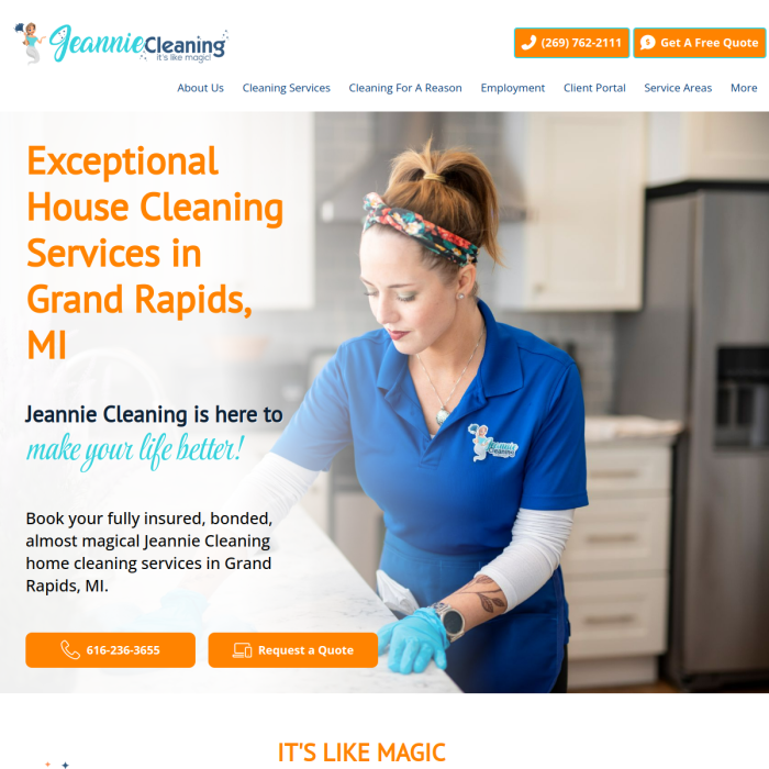 Jeannie Cleaning