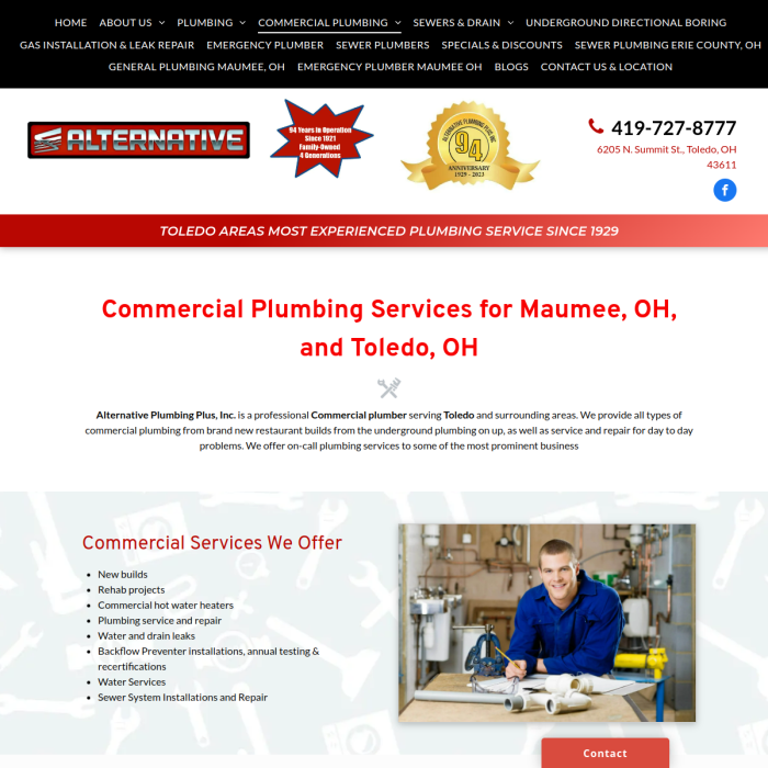 Alternative Plumbing Plus Inc