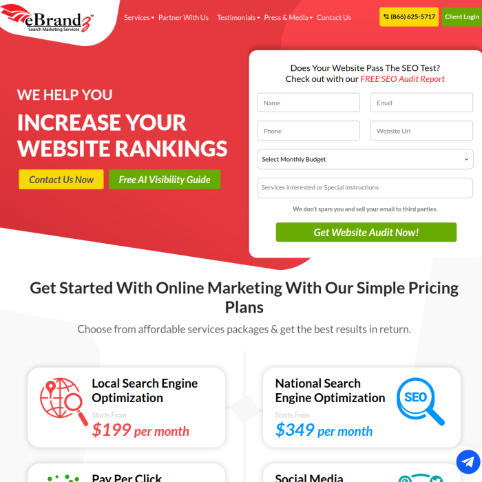 eBrandz Incc
