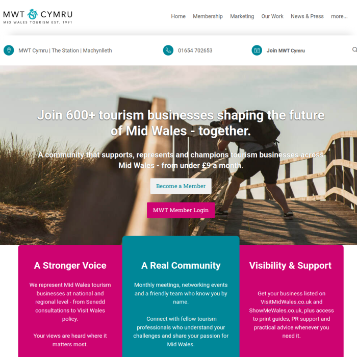 MWT Cymru home page in its original colours.