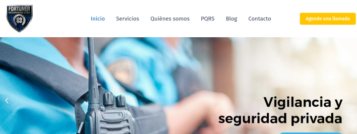 Captura del sitio Fortuner Seguridad