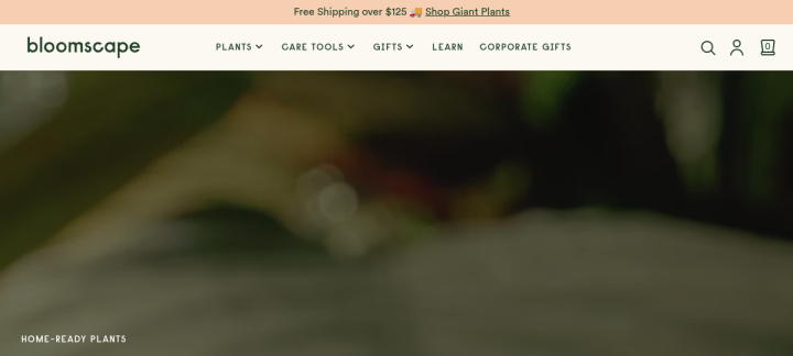 Bloomscape website screenshot