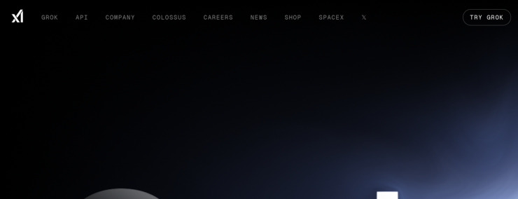 Grok website preview