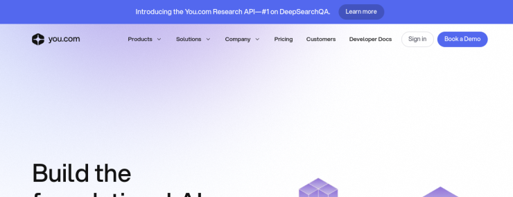 You.com website preview