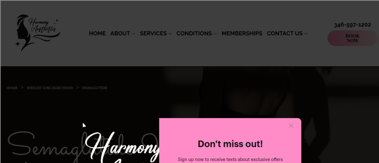 Screenshot of Harmony Aesthetics Spa - Spring, TX website