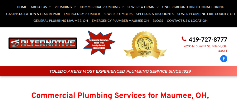 Screenshot of Alternative Plumbing Plus Inc website