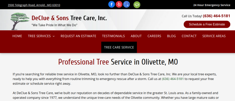 Screenshot of DeClue & Sons Tree Care, Inc. website